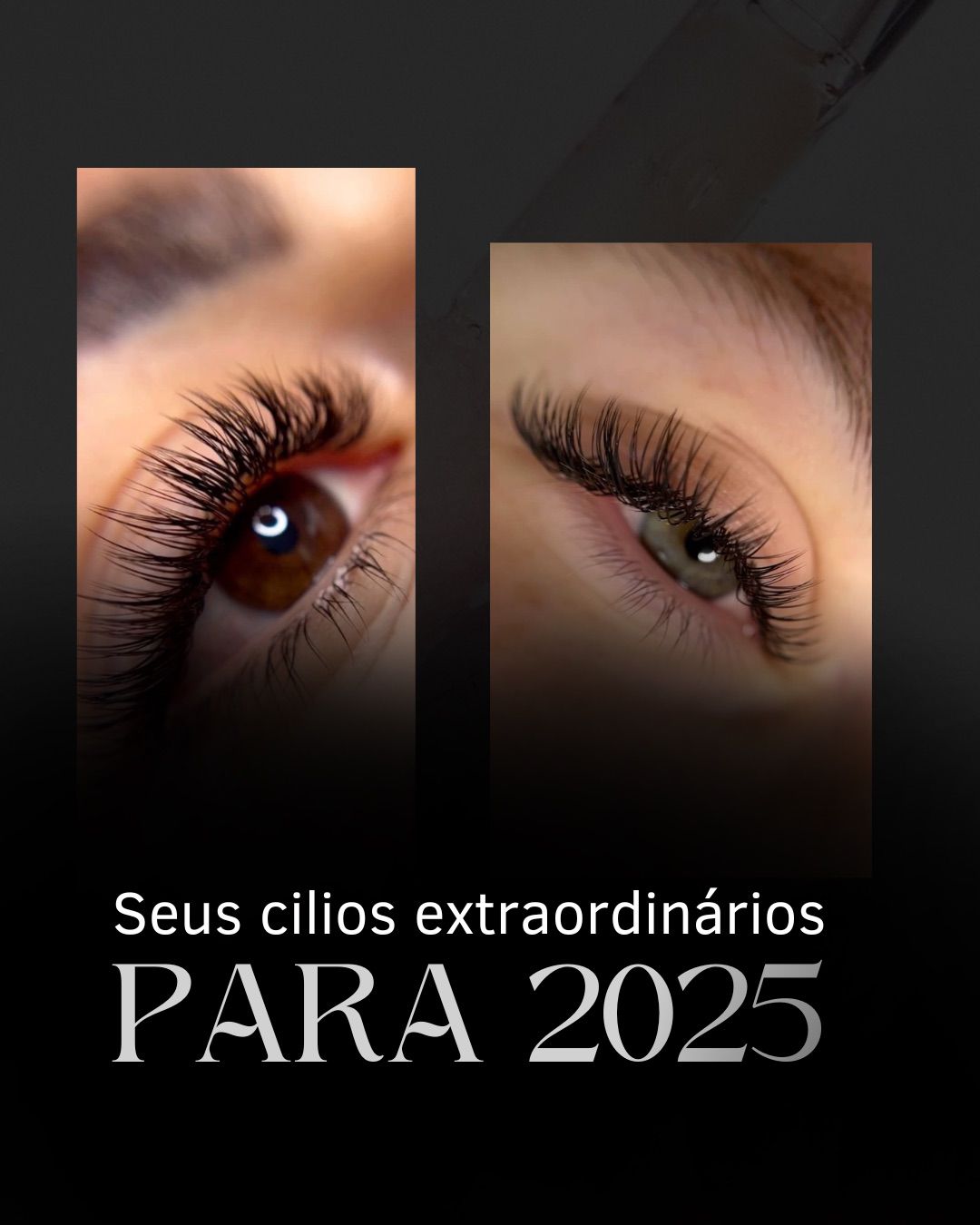 WhatsApp Image 2024-12-01 at 00.47.50-2