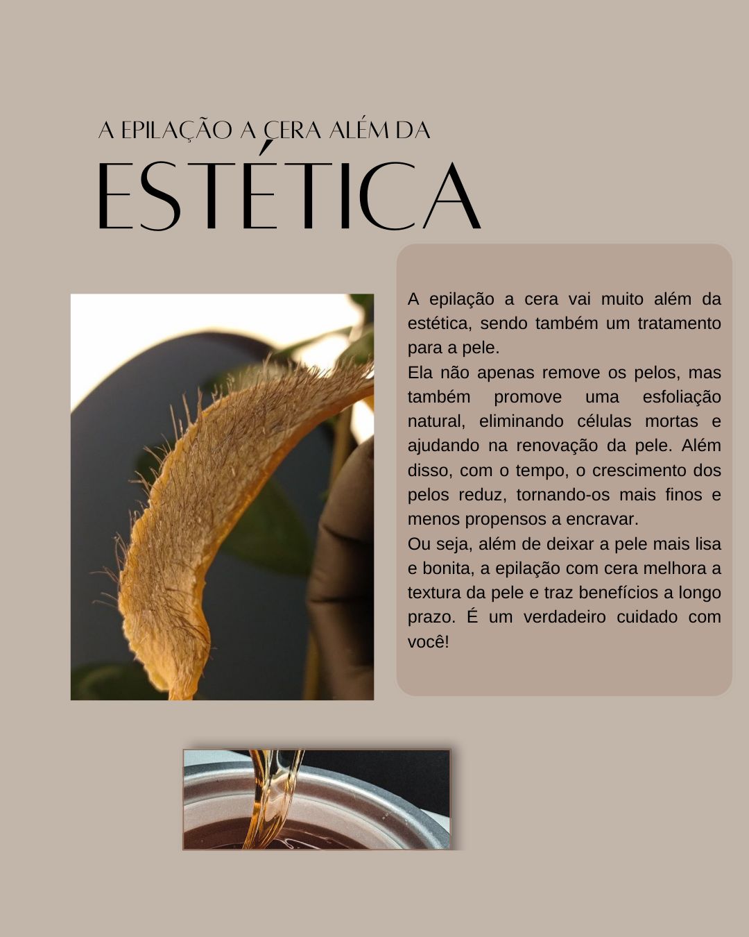 WhatsApp Image 2025-03-06 at 18.37.25-3