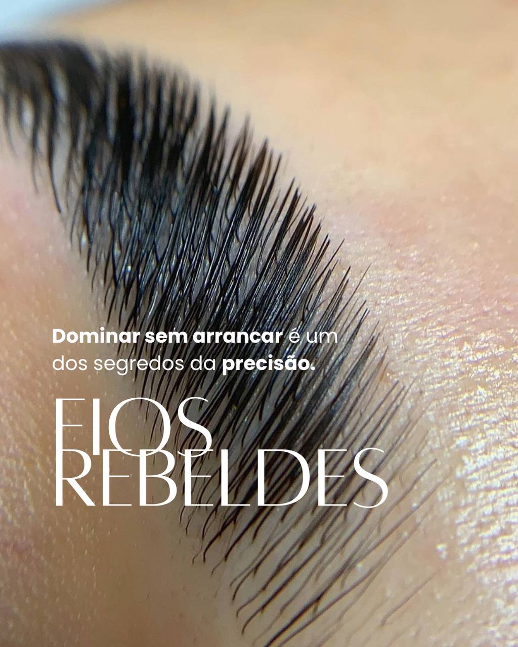 photo_4900175381567048636_y